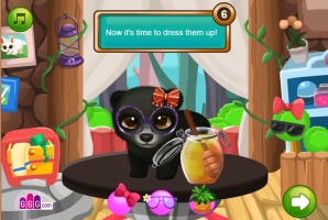 Pet Shop de Animais Selvagens - screenshot 3